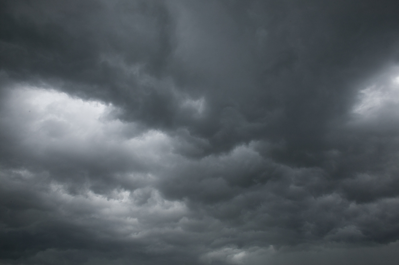 20DU2365 (220 von 225)